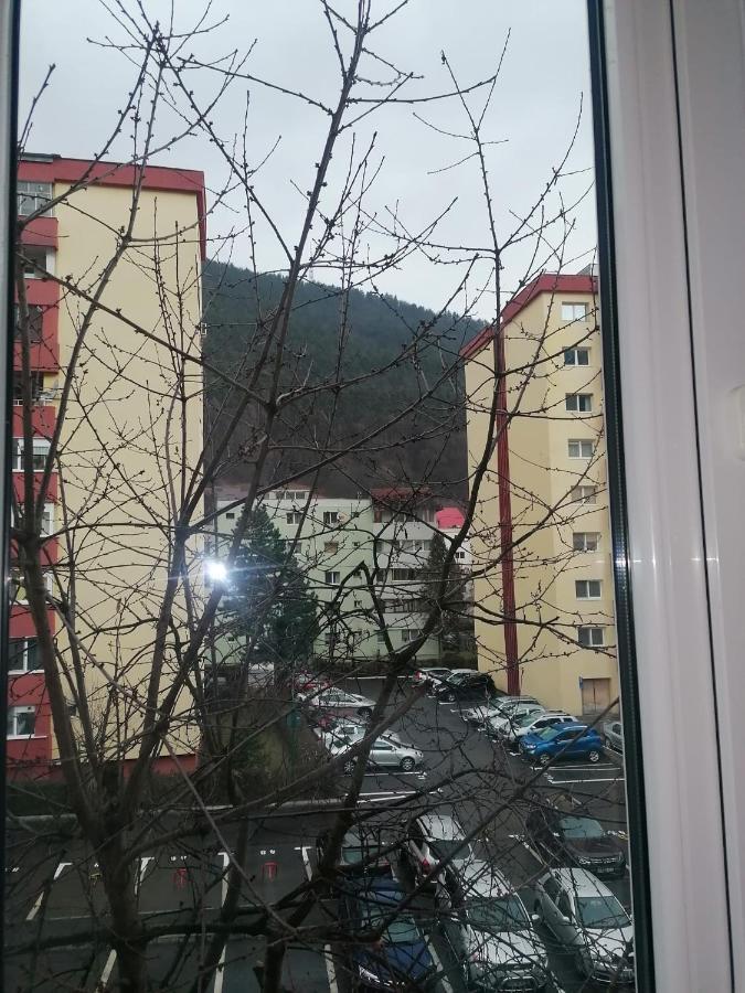 Apartament Racadau Braşov Exterior foto